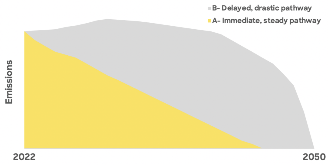 The difference between an immediate, steady pathway and a delayed drastic pathway